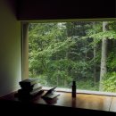 양화로 99 지산한의원 앞 | photodump : 요즘 관심사 최화정 피부관리 울쎄라, 7월 소비 기록 올리브영 세일템, 희녹 스프레이...