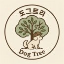 도그비숑 | 송도 애견미용실, 도그트리만의 긍정미용 방법! 비숑미용 후기 연수구/옥련동/동춘동/미추홀구/학익동