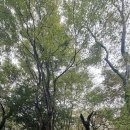 자연에 홀릭... 이미지