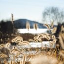 명재2농장 이미지