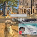 동산흑염소 | 청주 놀거리 데이트 코스 청주동물원 입장료 소요시간