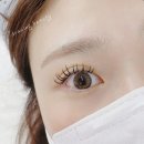 안산 초지동 속눈썹 연장 맛집 : &#34;드로잉뷰티안산속눈썹&#34;에서 D+컬 연장한 리얼후기