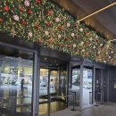 메종카 | [제주여행] 제주도 숙소 체크인하기! 메종글래드 제주 셀프 체크인 및 디럭스 프리미어 룸 후기 1-3