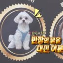 프로포즈365과일야채 - 양천구 목동중앙본로 123 | 프로포즈365과일야채
