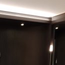 리셋기능비만