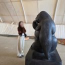 퇴로 | 하슬라아트월드 1만원 방문 후기,강릉여행 꿀팁 할인 정보까지