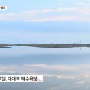 한국의 동남아, '광안리' '해운대'도 아닌 환상적 일몰 '다대포' 해수욕 이미지