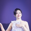 댕댕이와냥이 이미지