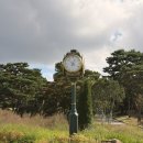 나주집 | 수원cc 맛집 한우 맛집 나주집 태광점에서 라운드 후 식사 후기