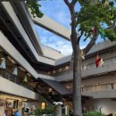 로얄상사(Royal Company) | [하와이 신혼여행] 스투시(오픈런), 아일랜드 빈티지커피(아사이볼), 레이징케인즈, 코나커피, ROSS...