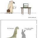 낙동강오리알 이미지