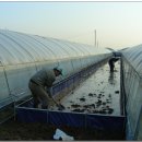 별더농장 이미지