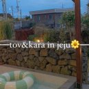 토브앤카라 이미지