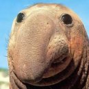 HEAVEN PC방 이미지