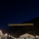 1499 | 대전 문글램핑 | 애견동반도 가능한 수영장 있는 감성 글램핑 내돈내산 후기