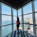 일본 후쿠오카 여행코스 가볼만한곳 후쿠오카 타워, 모모치해변 볼거리