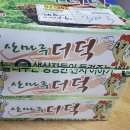 고지열증에 좋은 더덕 효능 횡성산마루더덕