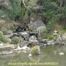 해당화마을 이미지