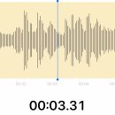 운도라 소프트 | 도쿄 워홀 #11 | 3월 (2) - 다이칸야마 아이비 플레이스, 에비단 겐바(아이스 콘서트, 수파도라 토크회)
