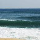 금산헤르쯔 동물병원 이미지