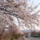 법동교차로 이미지