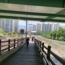 그린빌C 주변 | 창원 초보자 등산 대암산 C코스 후기