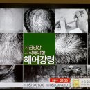 씨제이티에스