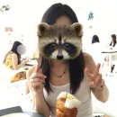 오케이라이스센터 | 여행#1] 3박 5일 여행 코스, 세부 여행 준비 사항, 아얄라몰, 세부시티 호텔 숙소 세다아얄라센터세부시티