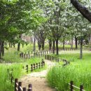 풍년공원 이미지