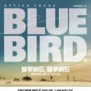 블루버드(Blue bird) 이미지