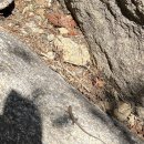 [엄마와 4대 적멸보궁 ②] 봉정암 철야 기도 후기, 생각보다 더 특별했던 하룻밤