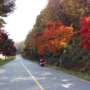 은행정천 이미지