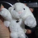 대빵인형뽑기 송탄점 | 광주 첨단 놀거리 예쁜 인형뽑기 하고 싶다면 대빵오락실로 가자