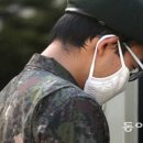 임소초 이미지