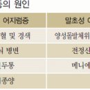 갑자기 어지럽고 식은땀 구토 어지럼증 어지러움 어지러울때 병원 이미지