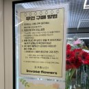 바즈플라워 | [광주 남구] 24시간 무인으로 운영되는 예쁜 주월동 꽃집, '인바즈플라워' 꽃다발 후기 🌷