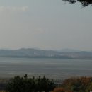 김명자낙지마당 이미지