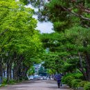 부천중앙공원 이미지