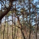 별꽃숲민박 이미지