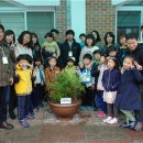 늘푸른꿈 이미지