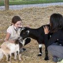 염소야놀자 이미지