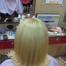 고고헤어gogoHair Daum카페