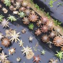 뚝심농장 이미지