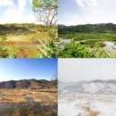 정양늪생명길 이미지