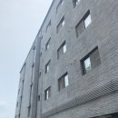 가평연리지 이미지