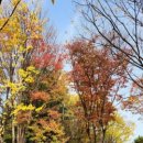 공릉동근린공원 이미지