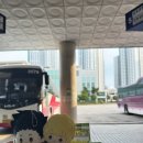 31여단 | 오사카 덕질투어