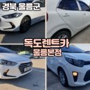 독도 카 서비스 | 울릉도렌트카 완벽 가이드! 현지 업체 '(주)독도렌트카 울릉본점' 이용 후기 및 꿀팁 🚗✨