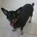 미성동-27 이미지