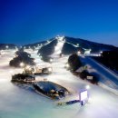 웰리힐리파크 이미지